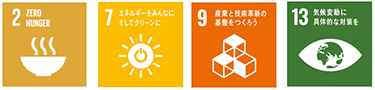 SDGs